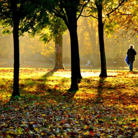 keep walking...