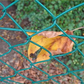prisoner