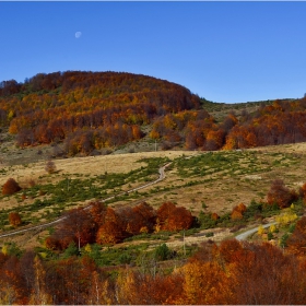 есенна палитра