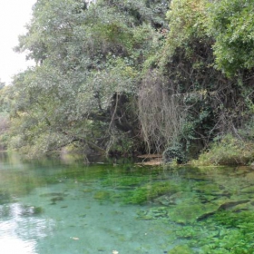 Exotic lake