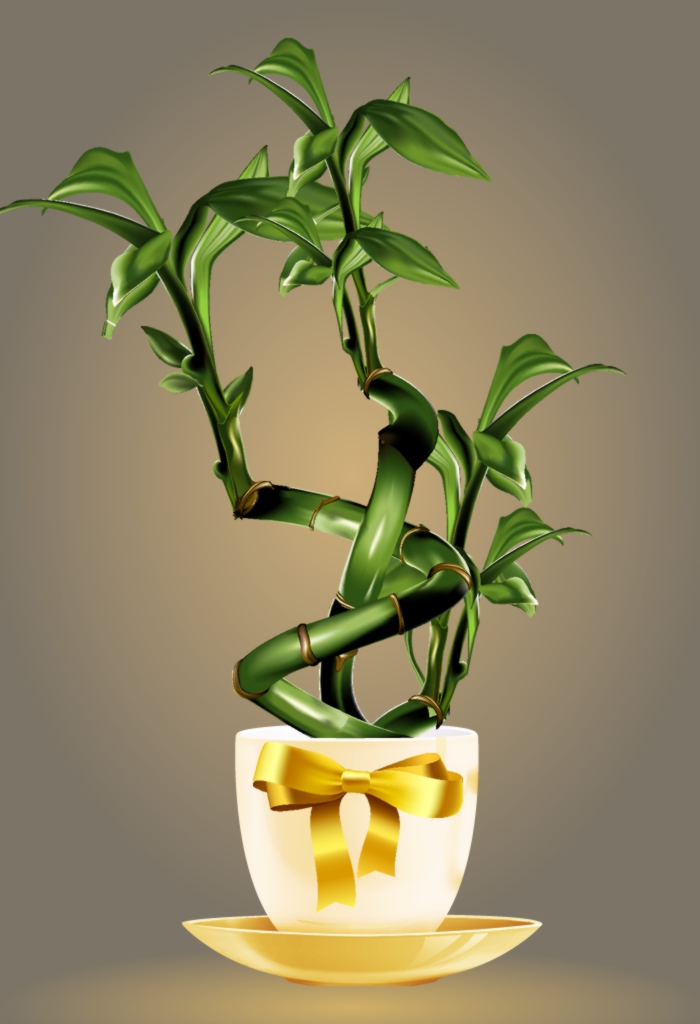 Bamboo