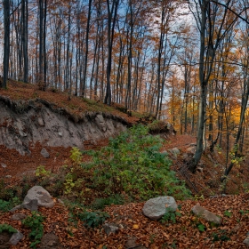 Равногорска есен