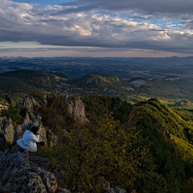 В името на красотата