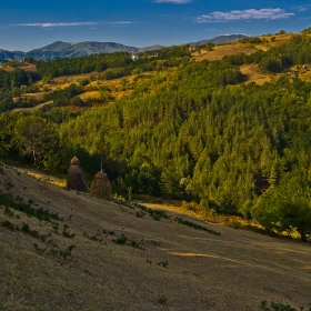 две големи купи сено и малко планина(Родопи)