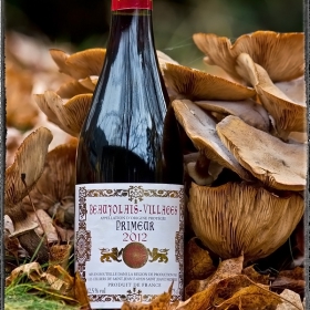 Наздраве с Beaujolais Primeur 2012 !