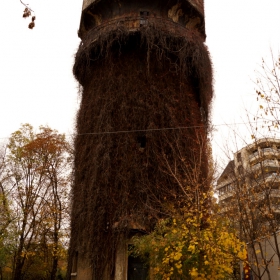 Снимка без име