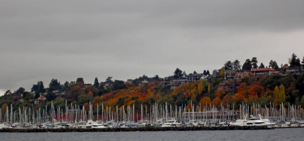 Microsoft Metro Marina