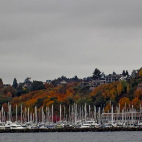 Microsoft Metro Marina