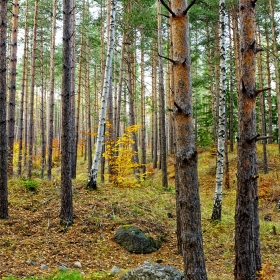 Горски пейзаж