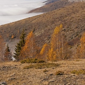 Есенни контрасти