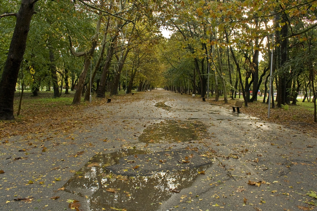 Есенно дъждовно
