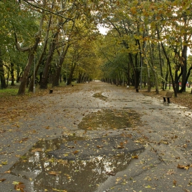 Есенно дъждовно