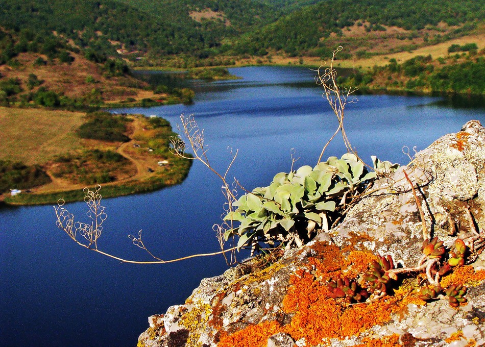 Край язовира