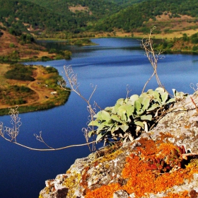 Край язовира