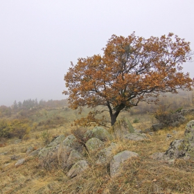 Средногорска есен