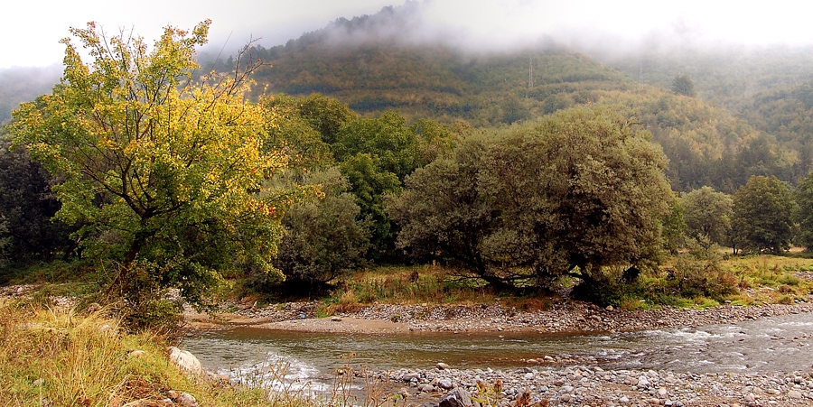 Есенно край р.Вит