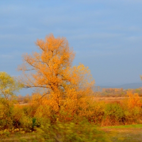 Златна есен