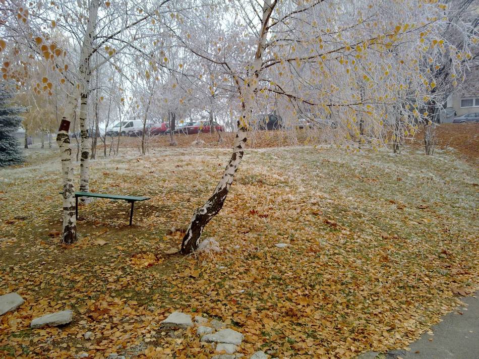 Снимка без име
