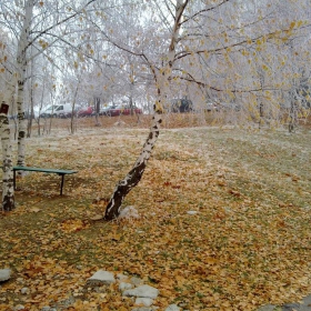 Снимка без име