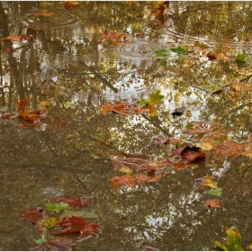 Есенно водно огледало