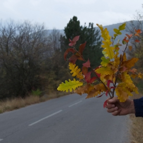 Есента... Пътниче, поспри, порадвай се на красотата и тогава продължи...