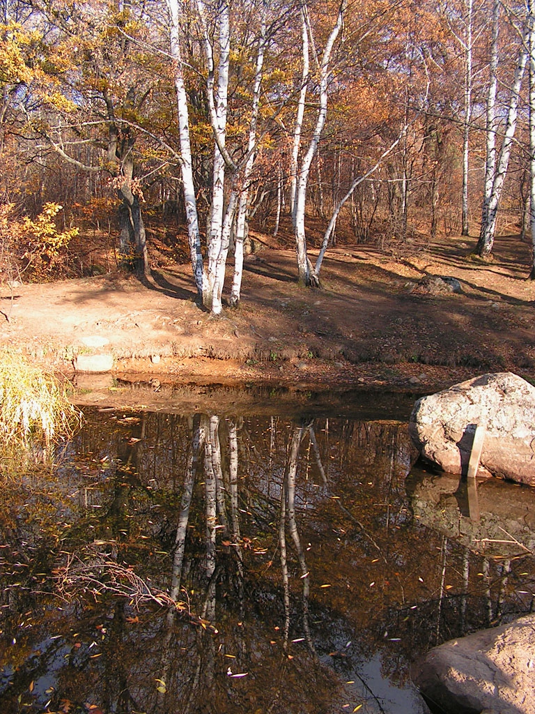 Отражения
