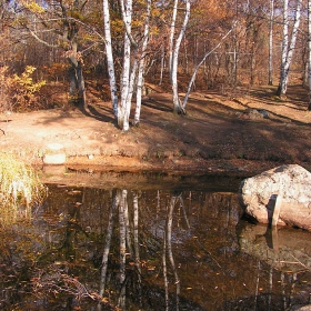 Отражения