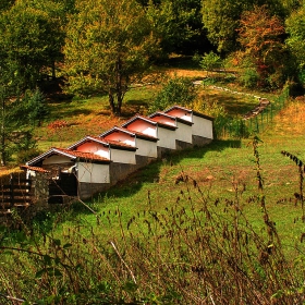 Край с.Рибарица 2