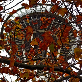 Space Needle: In Autumn