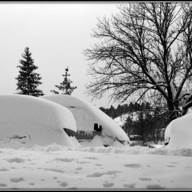 Разград, 20.12.12