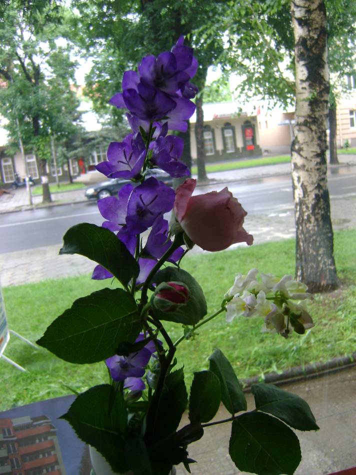 На прозореца!