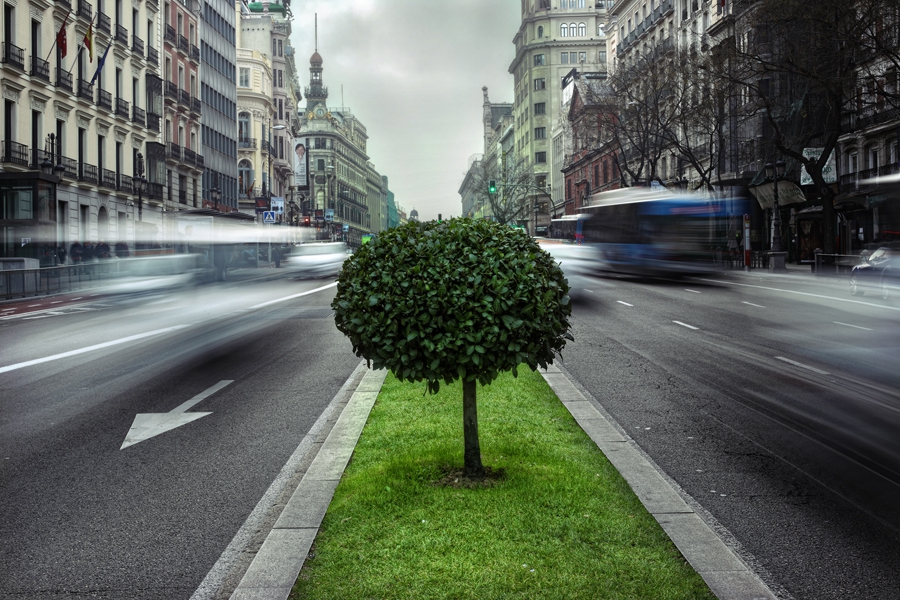 Urban Nature
