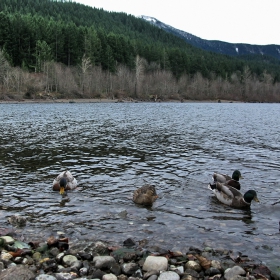 Rattle Snake Lake (на обиколка по старите пътеки)