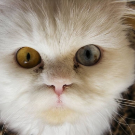 Coffee!?!?!?@#?!#@?!@$!?