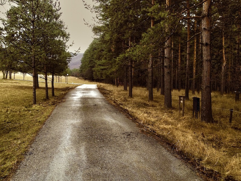 Winter road