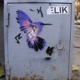 Едно птиче :)