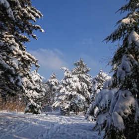 Кайлъшки романс