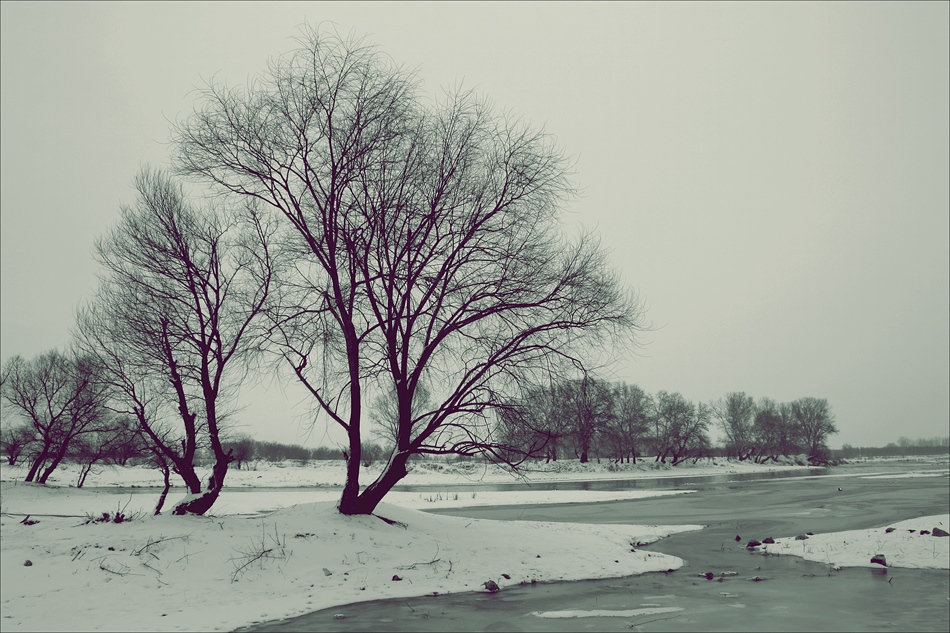 Зимно