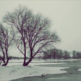 Зимно