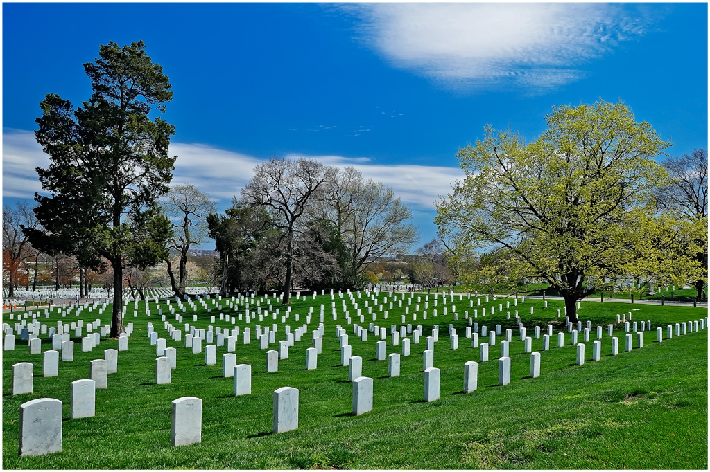 ARLINGTON NATIONAL CEMETERY 2