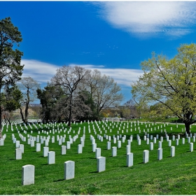 ARLINGTON NATIONAL CEMETERY 2