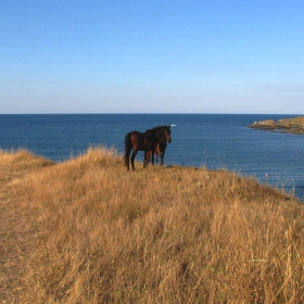 Мечти в морско синьо