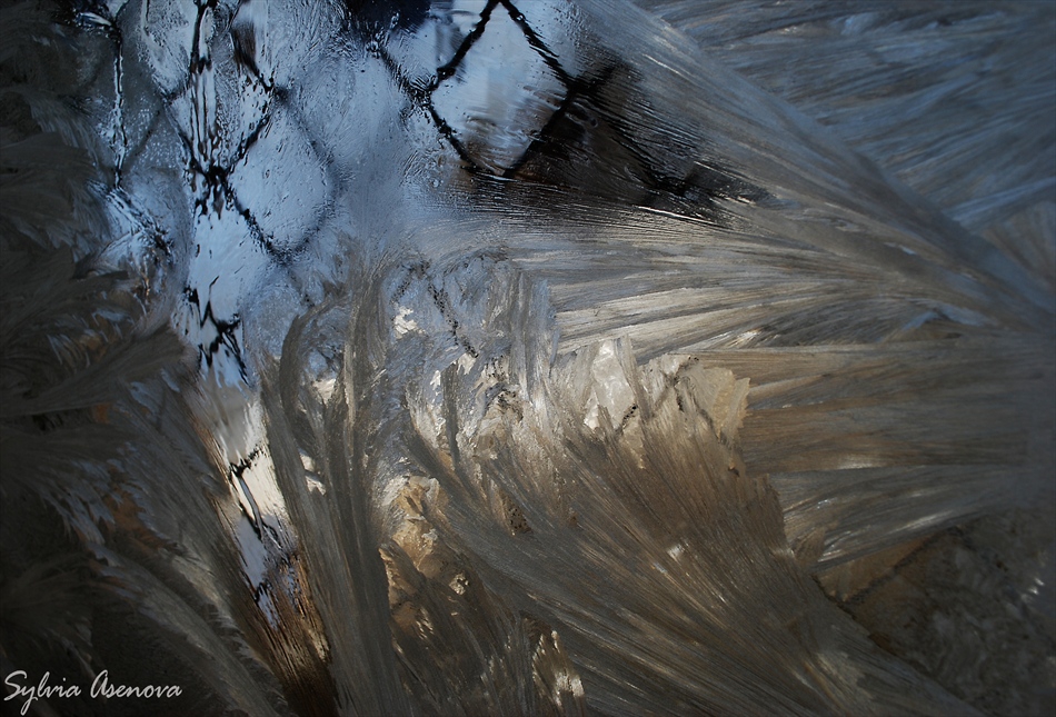 Frozen