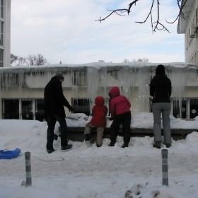 Доброволци в акцията за почистване на ледените висулки ...