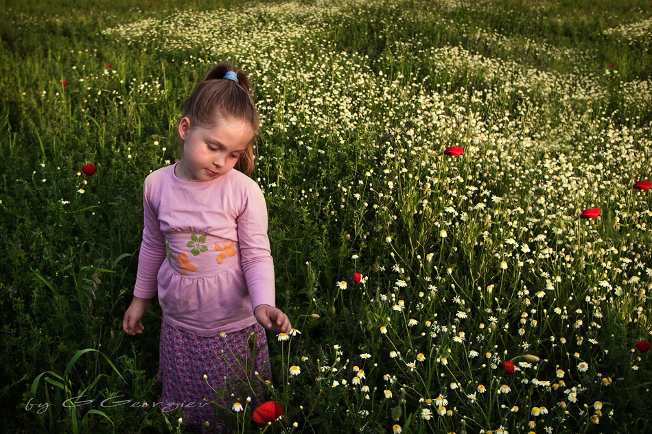 green greengrass of home