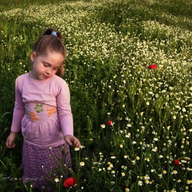 green greengrass of home