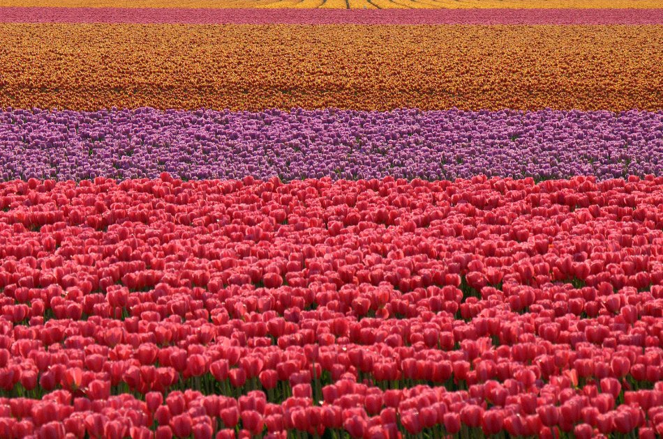 Colors - 3