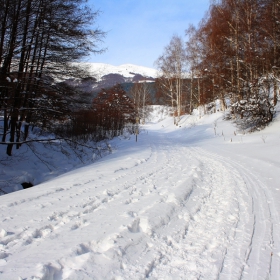 Снежни булеварди