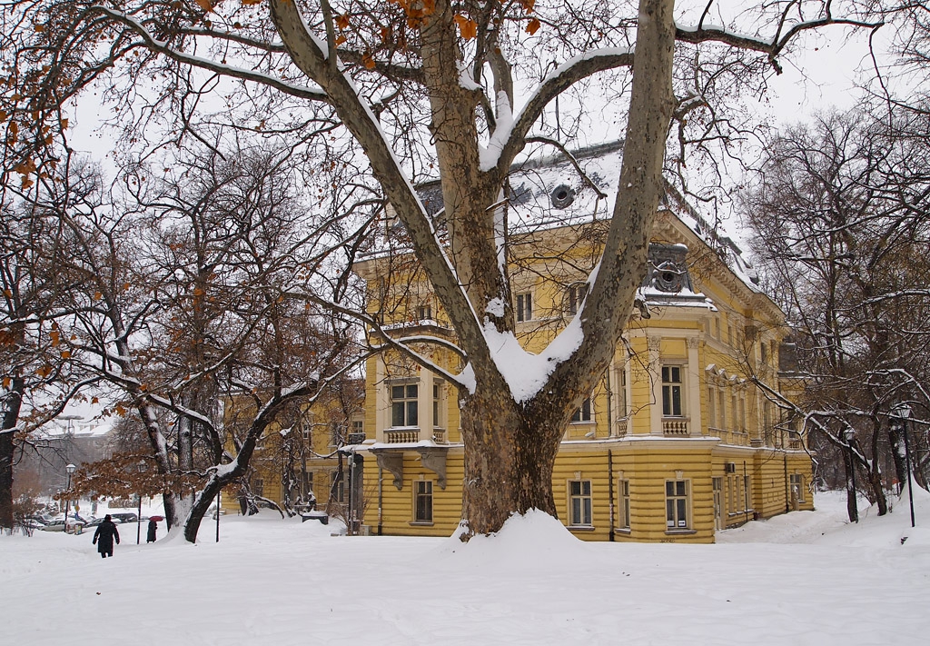 Градината в бяло