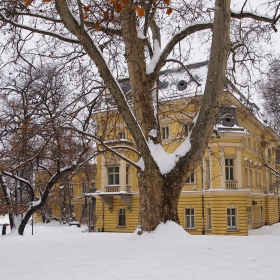 Градината в бяло